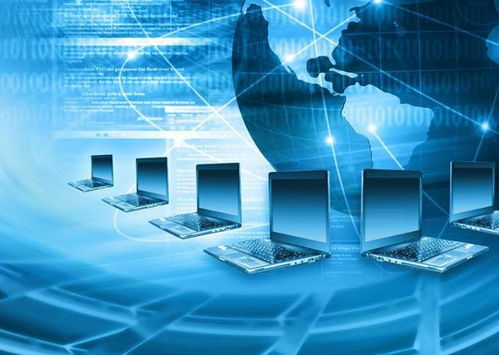 計算機(jī)網(wǎng)絡(luò)的組成與功能及數(shù)據(jù)處理存儲服務(wù)